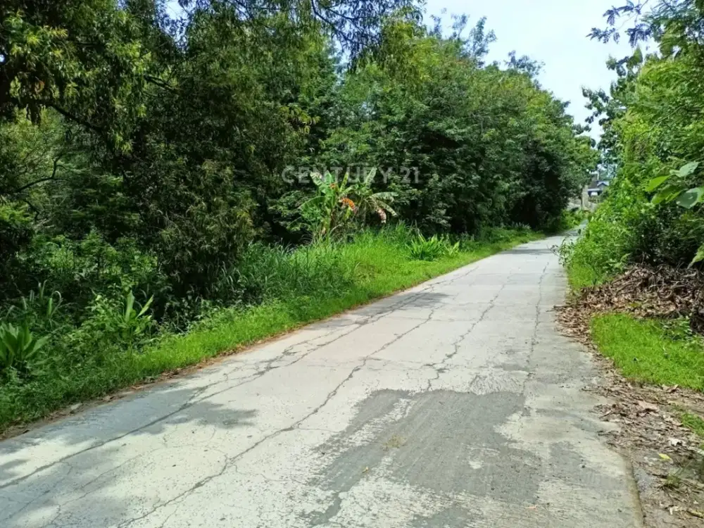 Tanah 1 Juta Permeter Di Jl Ringroad Utara Mojosongo Karanganyar