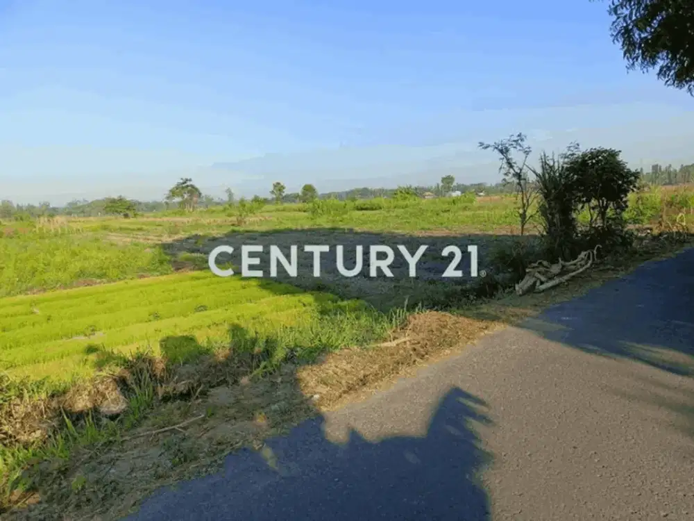 Tanah Dekat Lokasi Wisata Religius Candi Ganjuran