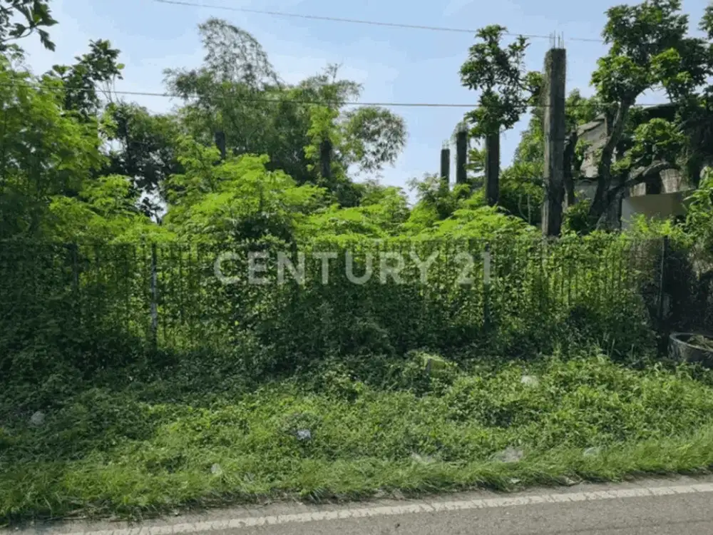 Tanah Di Ring Road Timur Yogyakarta Cocok Untuk Ruko
