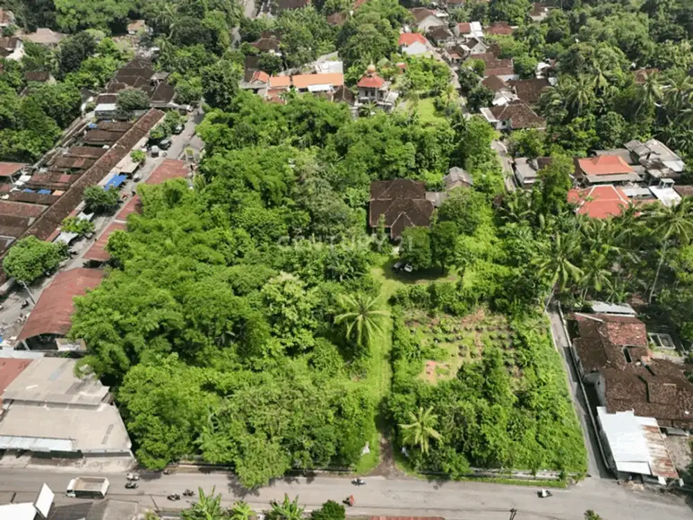 Tanah Luas 9031 M2 Di Ngemplak Hanya 50m Dari Pasar Jambon