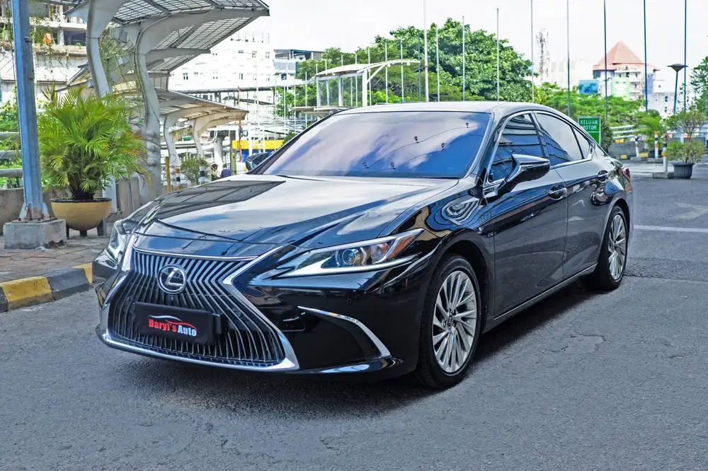 2019 Lexus ES250 Ultra Luxury Perfect Condition tdp 45jt