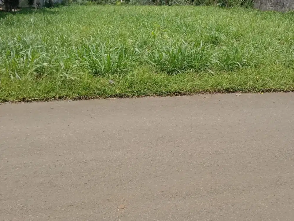 Jual Tanah di Bogor Caringin Jalan Ciherang Pondok Sebelah Tol
