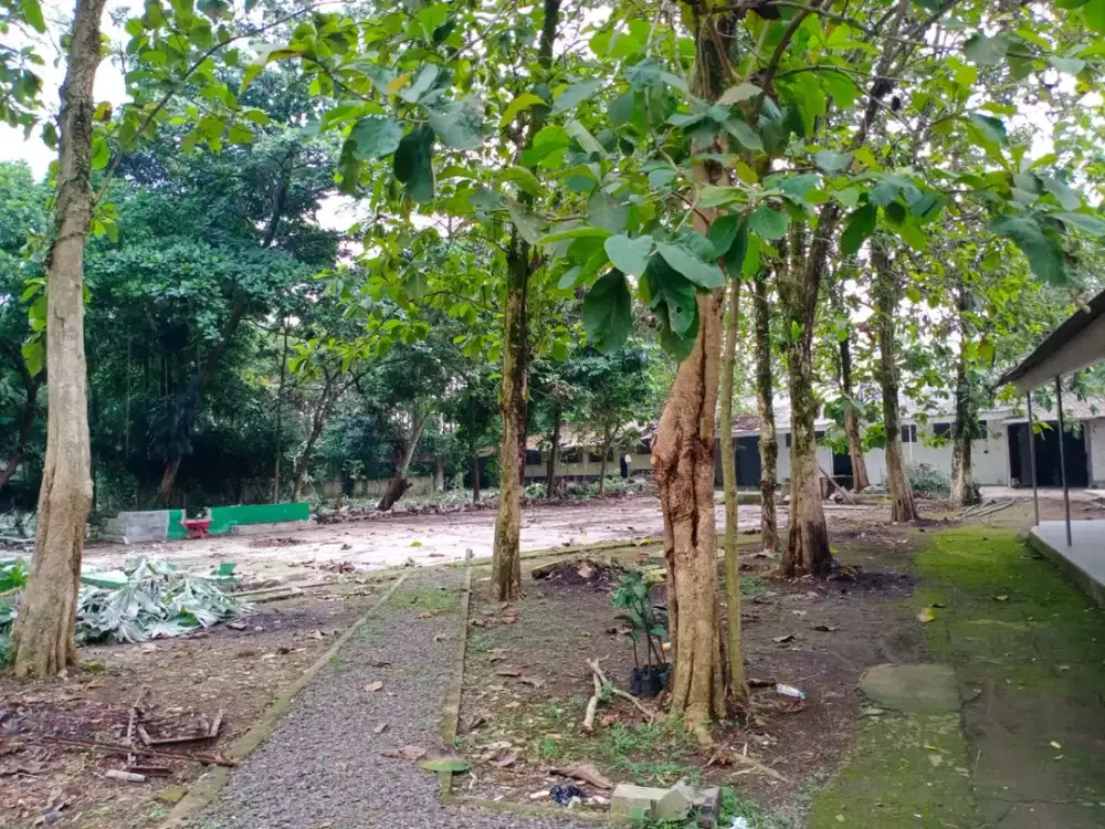 Dijual Tanah dan Bangunan di Situgede Cifor Bogor Jawa Barat