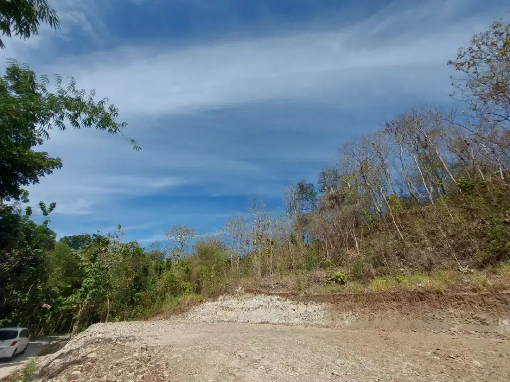 Tanah 100 Jutaan Pleret Dekat Puncak Sosok