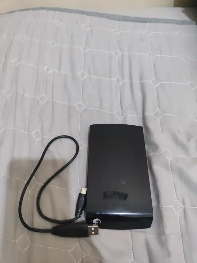External Drive 500 Gigabyte (seagate)