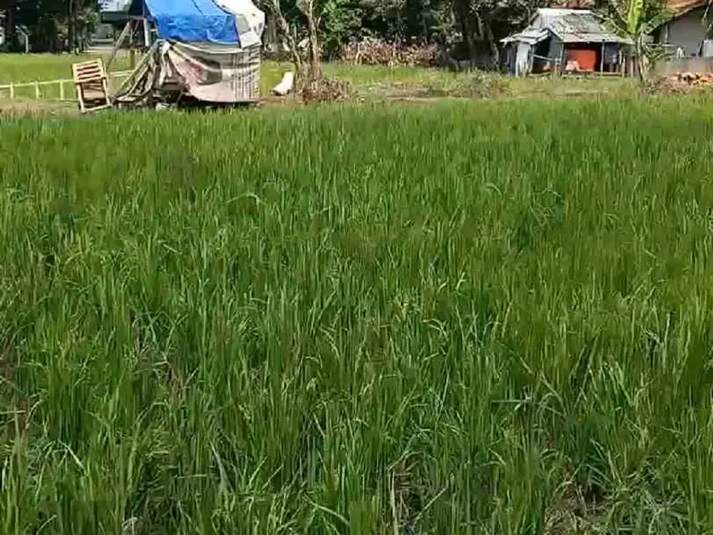 Dijual Tanah Lokasi Premium Langka, Mainroad AH. Nasution Harga Murah