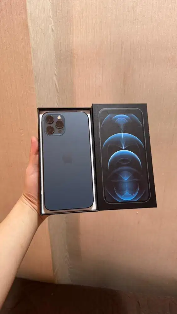 iphone 12 pro max 256