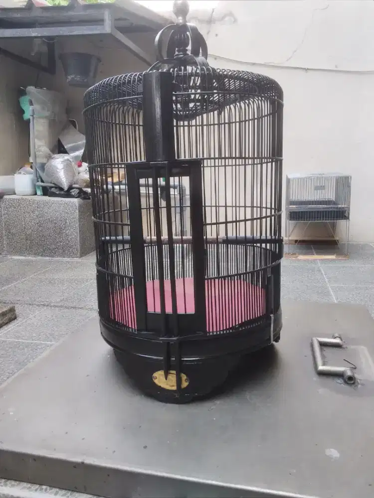 Burung anis bata gacor teler  + kandang bulat .