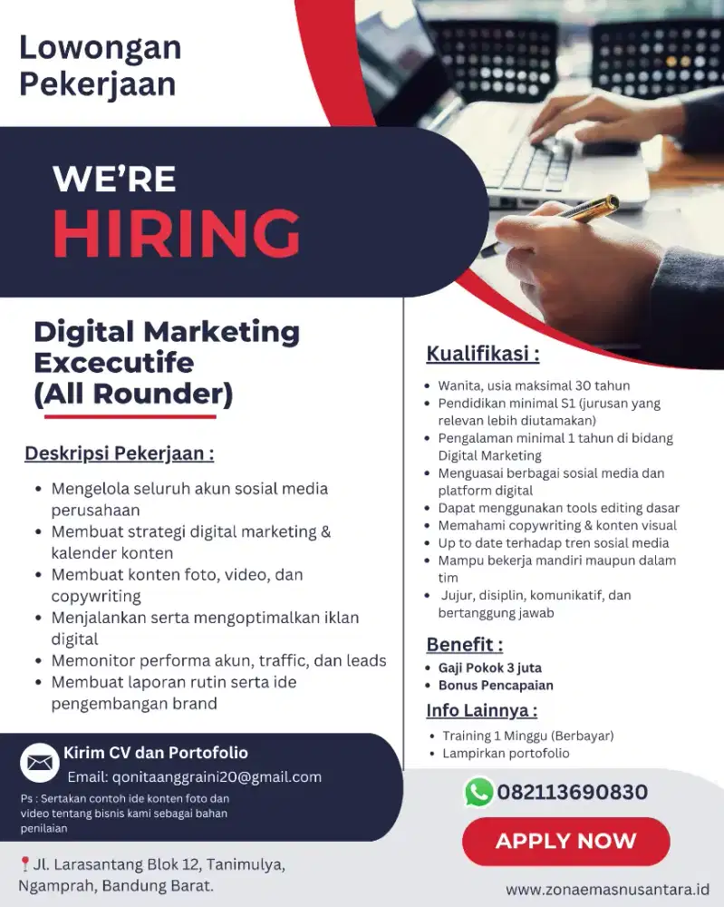 Digital Marketing Excecutive (All Rounder)