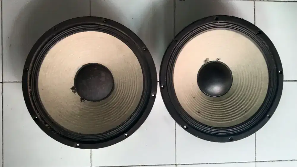 Speaker osso 15inch
