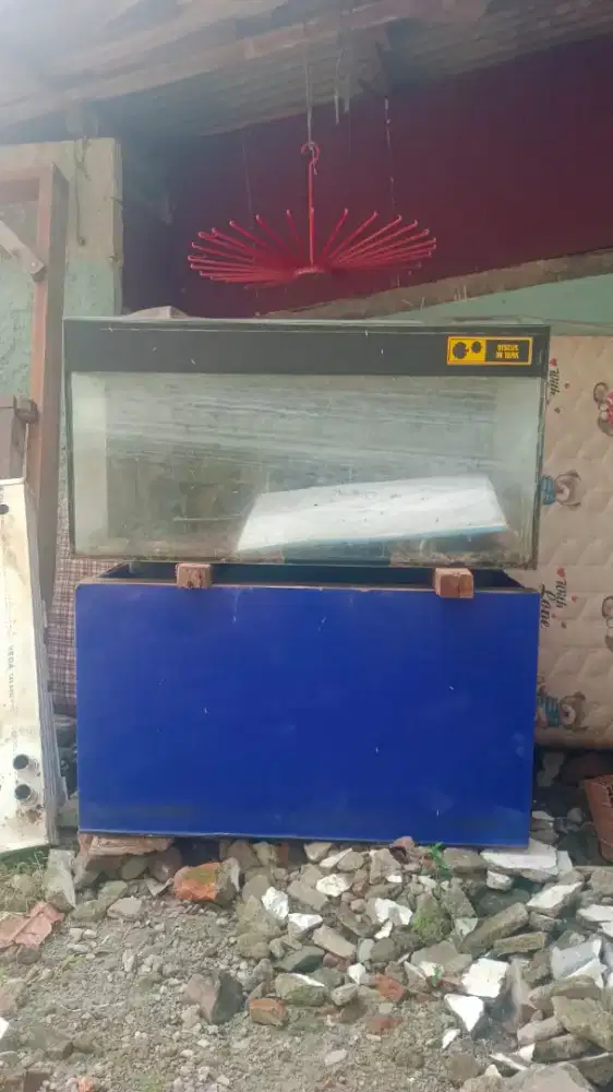 Aquarium ikan big
