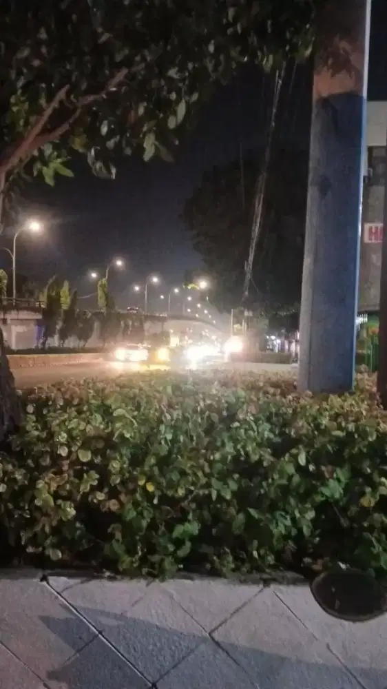 Cari lowongan ABK kapal cumi Merauke