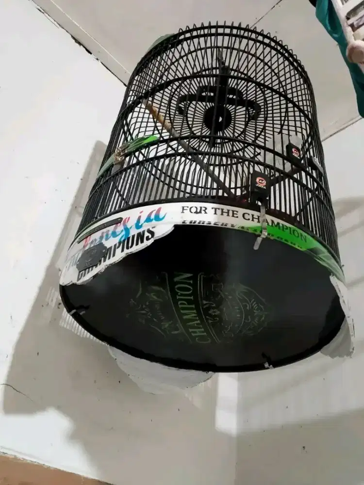 Kandang/sangkar murai no.2 decal