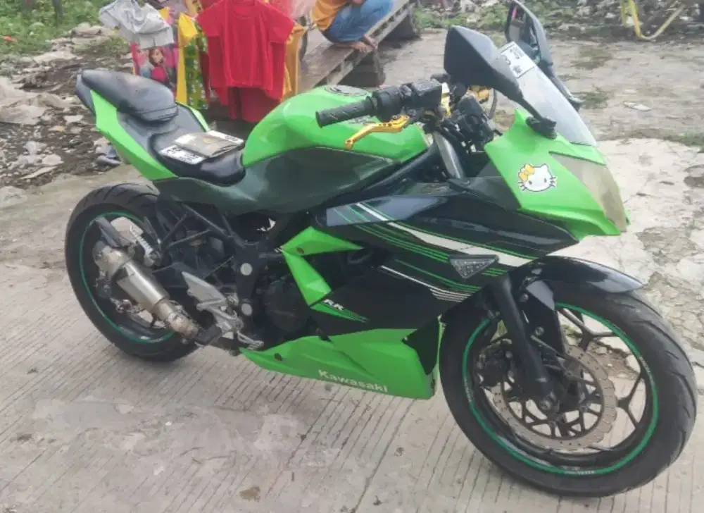 Kawasaki ninja rr250 cc