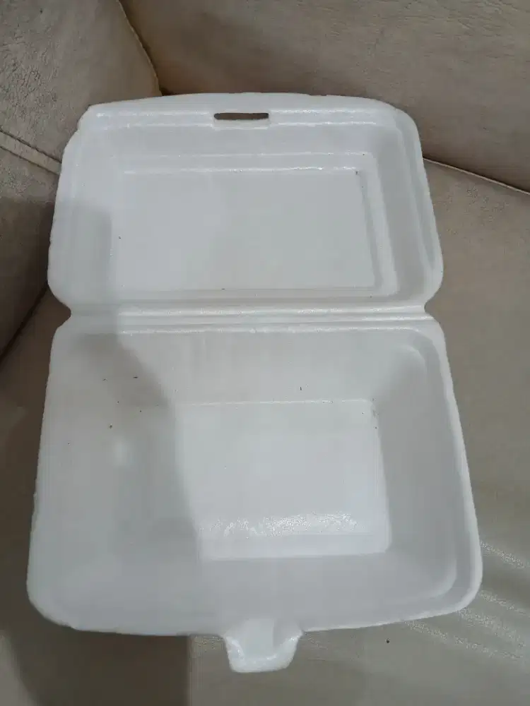 Wadah Makanan Berbahan Styrofoam Ayam Penyet Murah