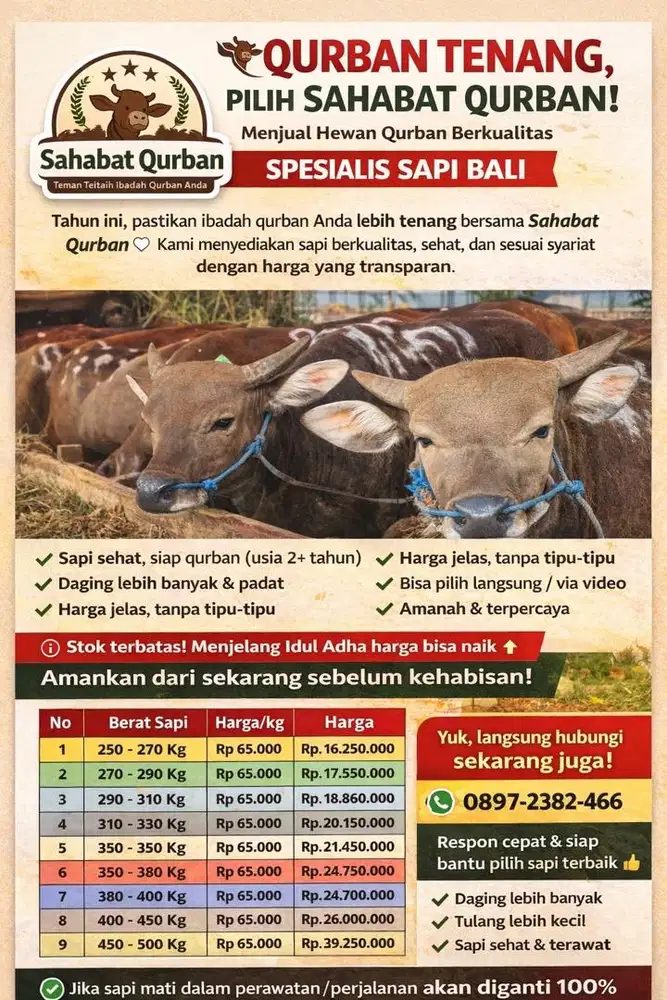 Sapi Kurban Sehat 250–400kg Siap Antar Bekasi Harga 65rb/kg