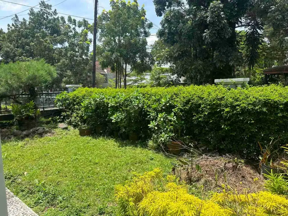 JUAL CEPAT!  REOG TURANGGA