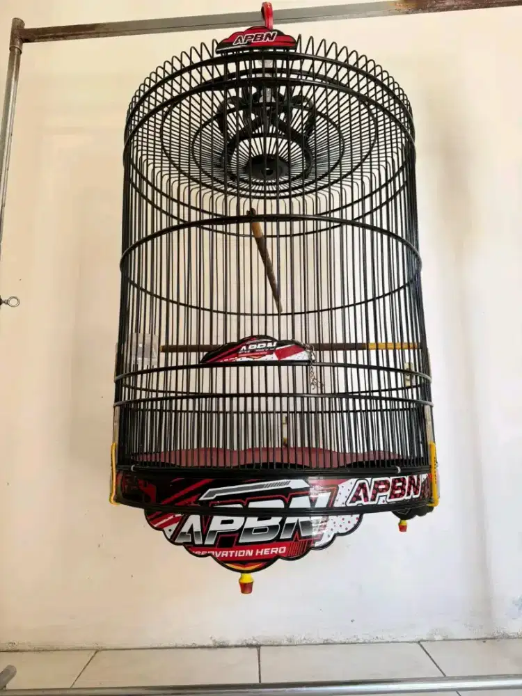 kandang murai pvc ebod apbn decal ori no.2