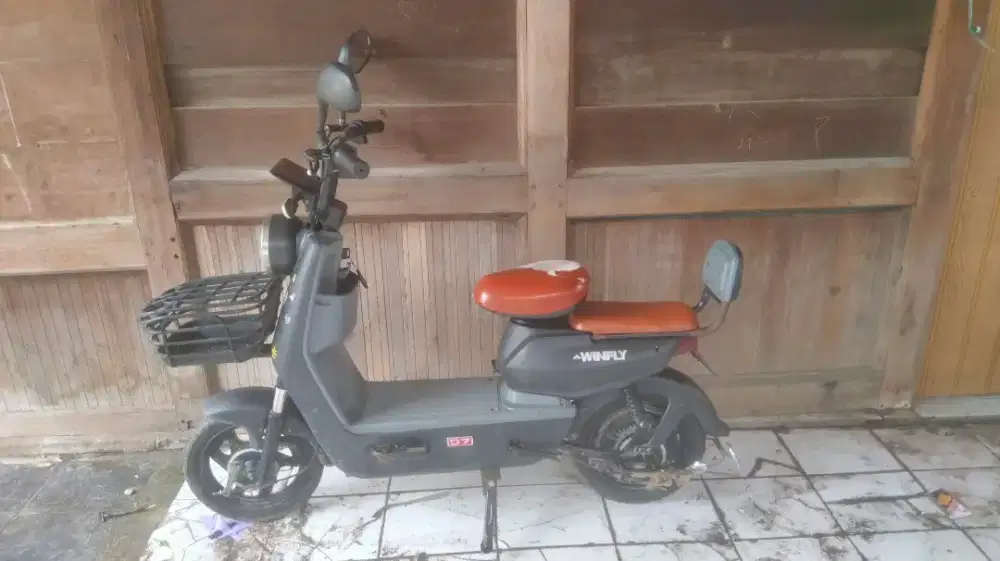 Di nual sepeda listrik normal,lengkap,mins batre aja minta ganti