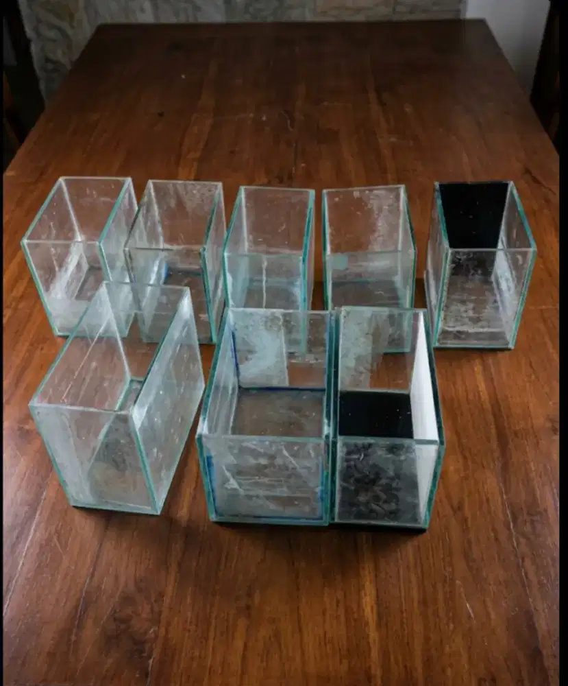 Murah Soliter Mini Aquariun
1ltr