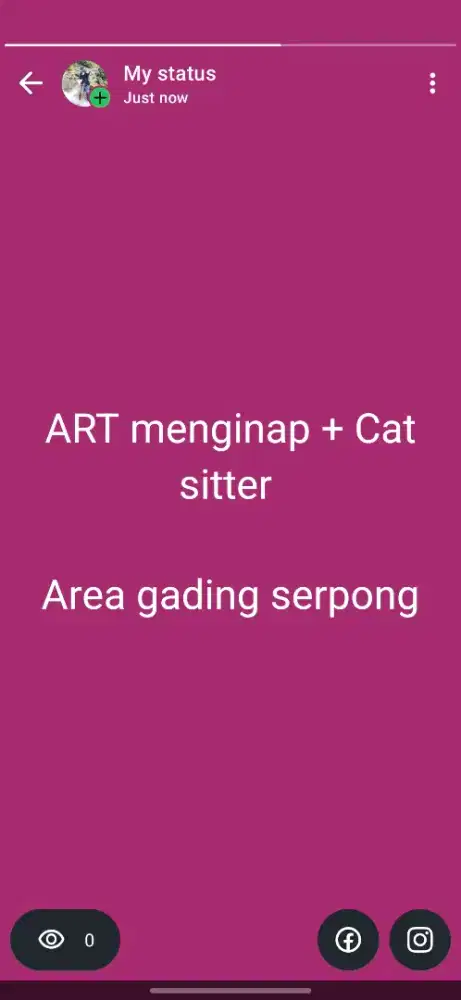 Dicari ART menginap + cat sitter Gading serpong