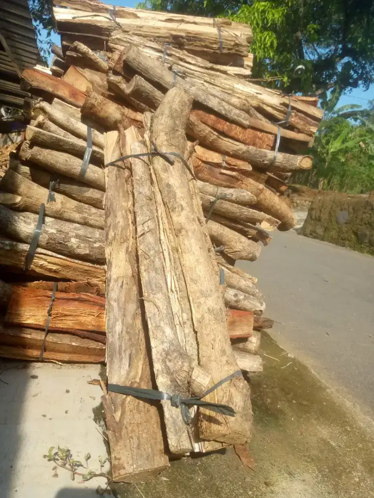 Kayu karet bakar