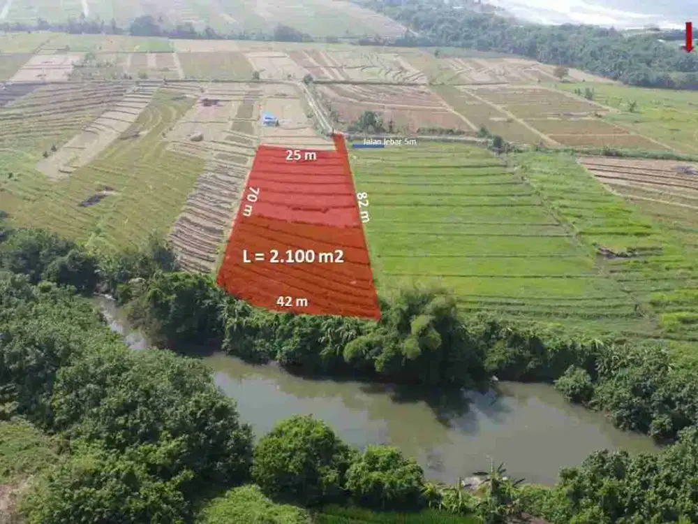 jual tanah murah lokasi kelating 2100m2..harga 315jt/are/100m2