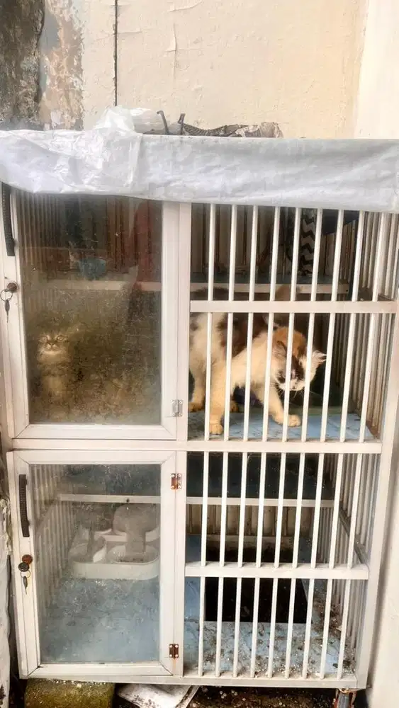 Kandang Kucing Alumunium