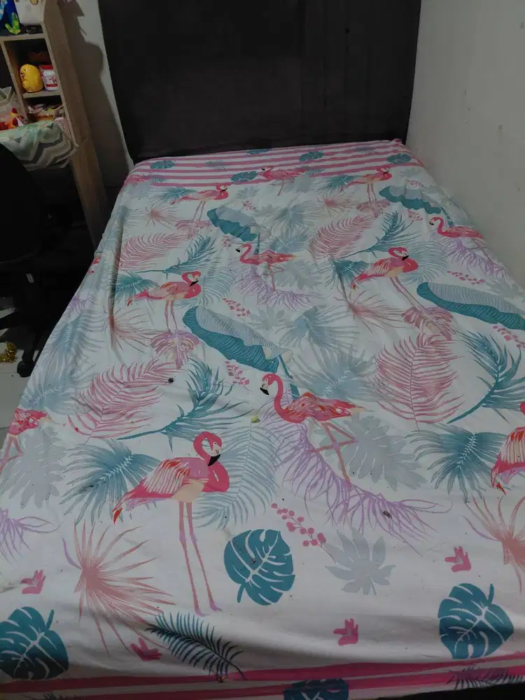 Kasur Spring Bed