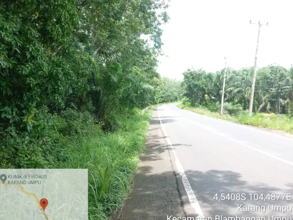tanah pingir jalan raya/lintas di way kanan BONUS FULL KEBUN KARET