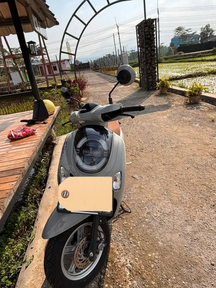 Honda Scoopy Stylish grey 2026