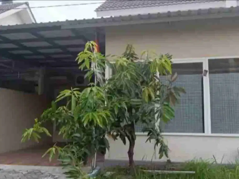 Rumah Murah siap Huni di Puri Surya Jaya Cluster Valencia, Gedangan, Sda