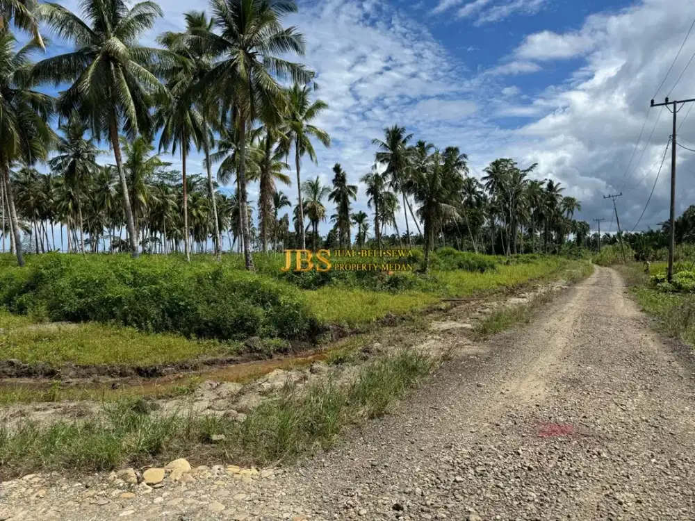 Dijual Tanah di Kota Gunung Sitoli Jalan Negara desa Hilimbawadesolo (+/- 10 Km dari Bandara)