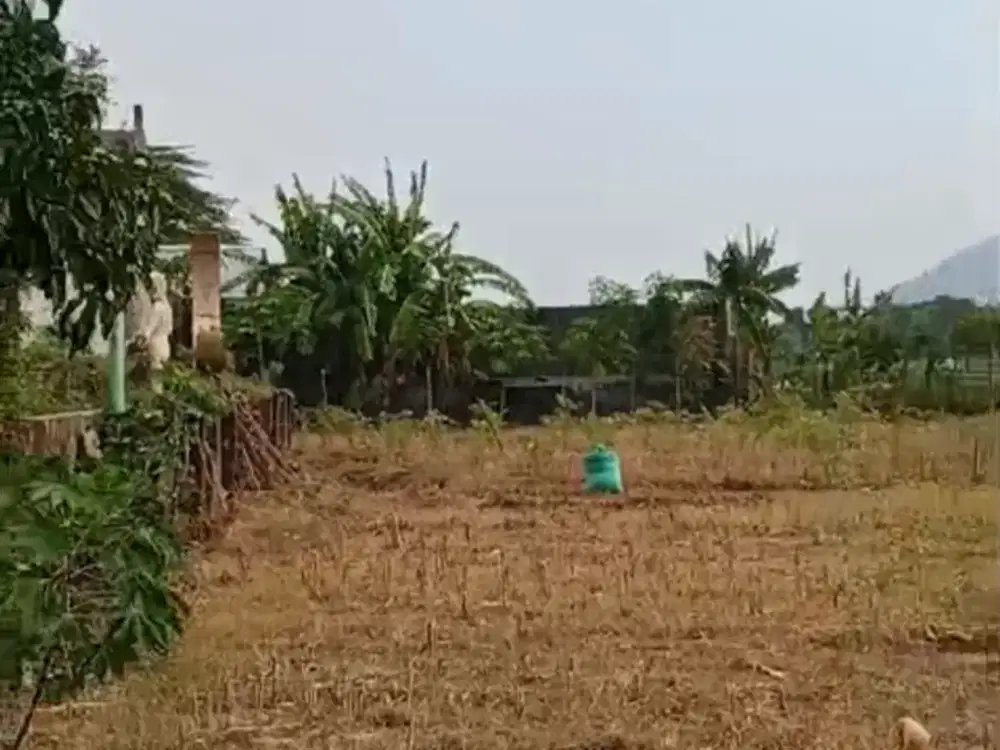 harga jual 2jt/meter tanah nol jalan raya provinsi kediri nganjuk cocok pabrik atau gudang