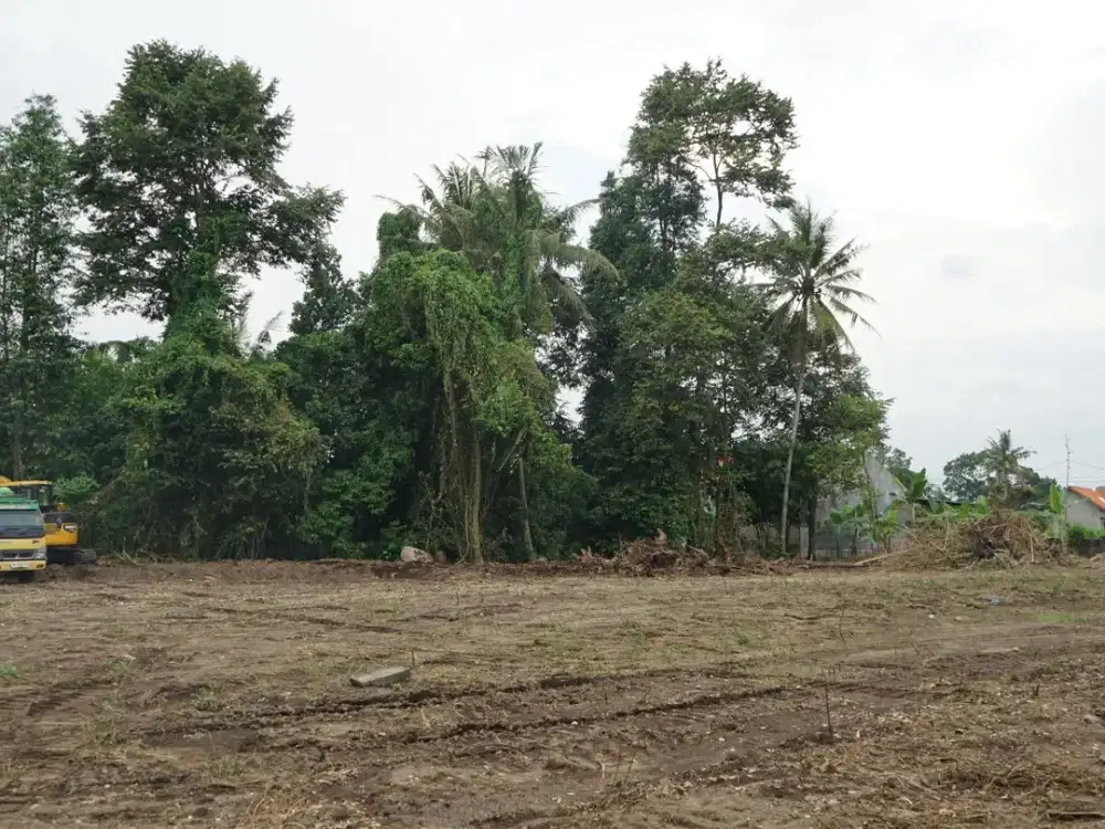 Dijual Tanah 1 Jt-an View Sawah Utara Dawet Viral Pak Bardi Kalasan