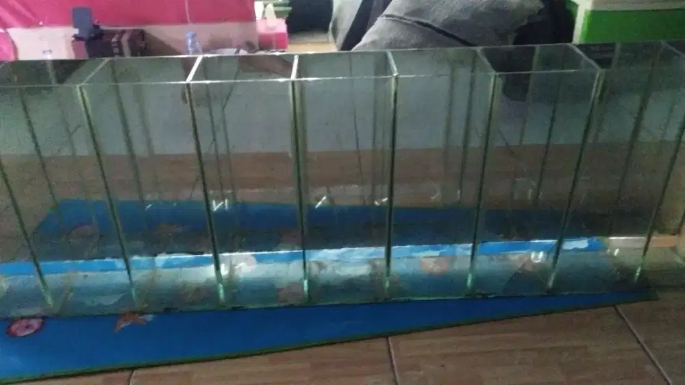 Etalase buat buah buahan