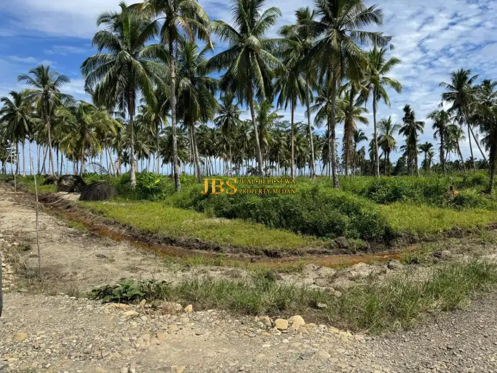 Tanah Dijual di Kota Gunung Sitoli Jalan Negara desa Hilimbawadesolo (+/- 10 Km dari Bandara)