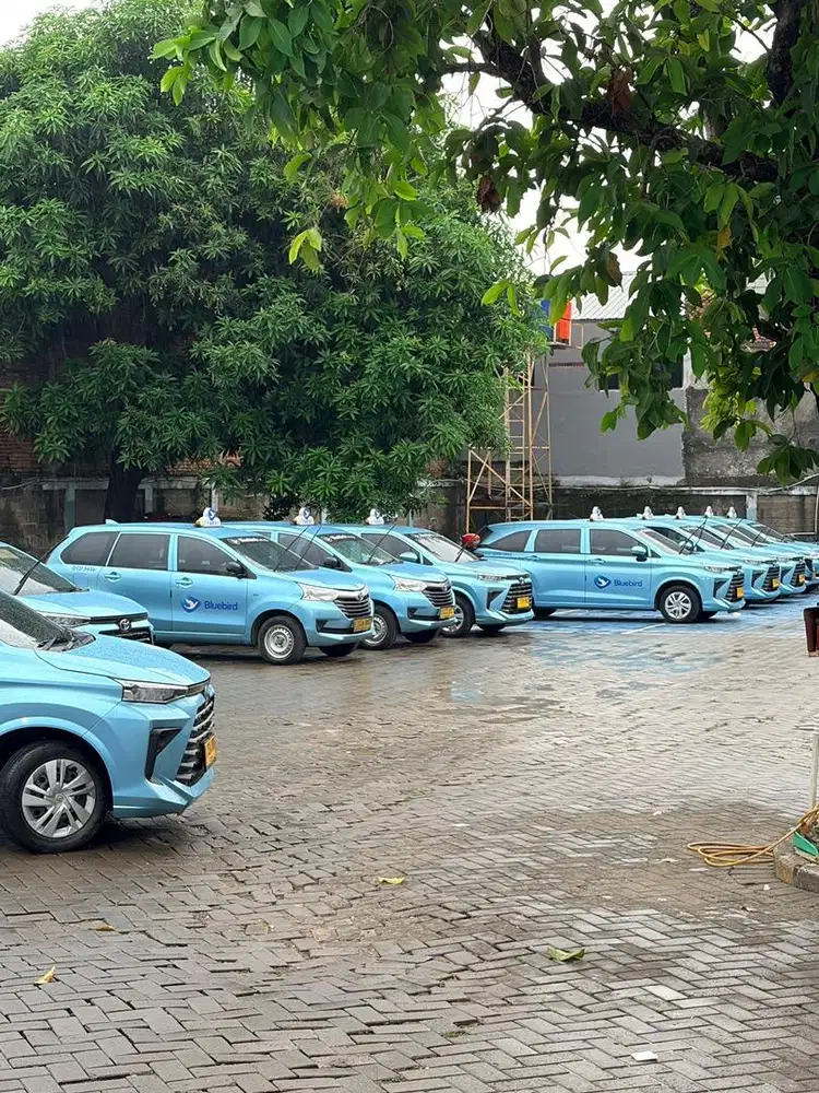 Lowongan Driver Bluebird