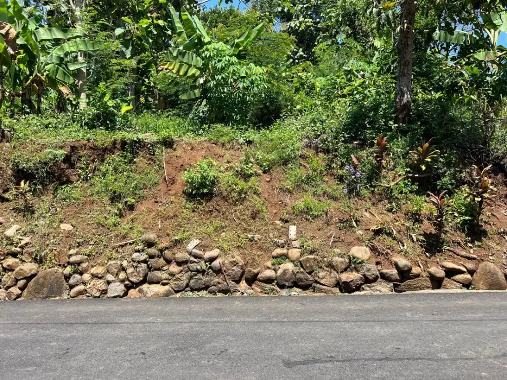 Tanah Luas 1200m2 Cocok Dibangun Rumah Tinggal, Kerjo Karanganyar