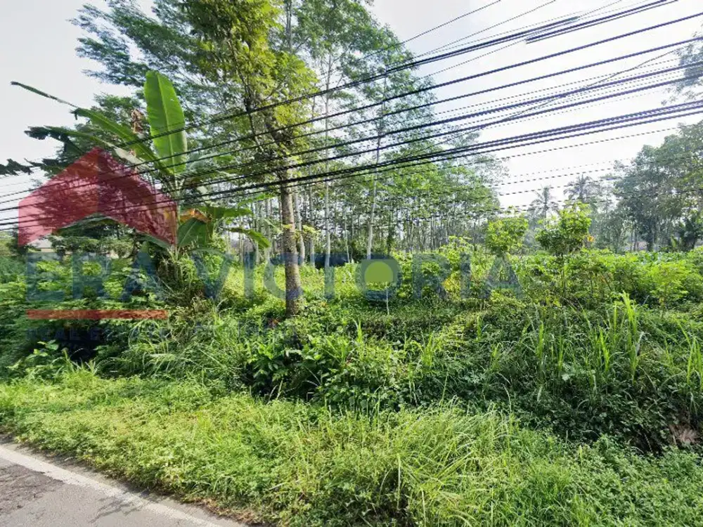 Tanah Strategis Pinggir Akses Utama Cocok Untuk Usaha & Hunian