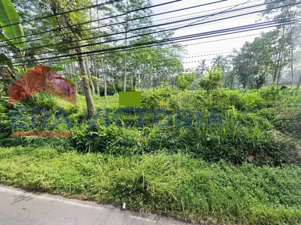 Tanah Strategis Pinggir Akses Utama Cocok Untuk Usaha & Hunian