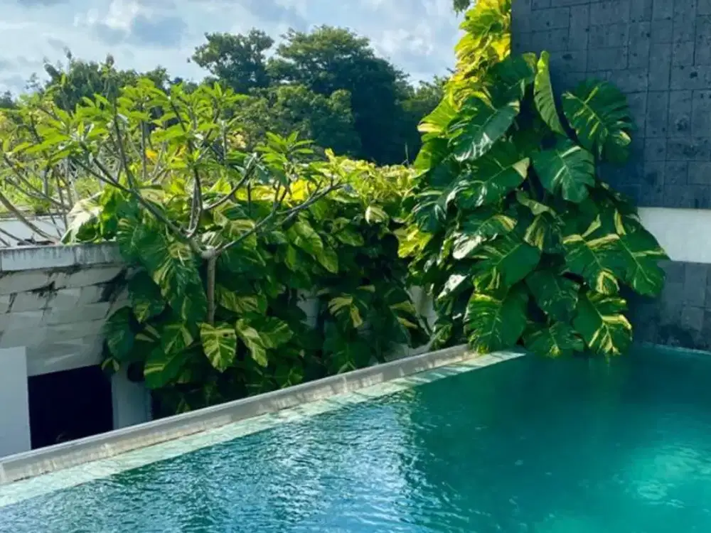VILLA EKSKLUSIF DIKAWASAN PREMIUM ULUWATU BADUNG
