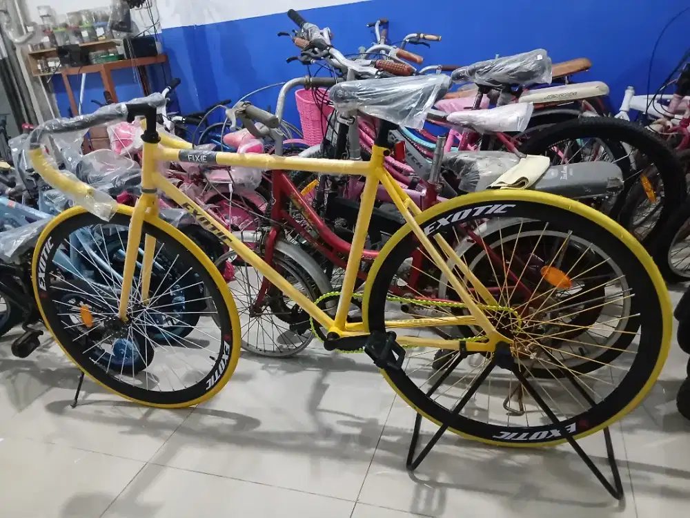 Sepeda Fixie Exotic