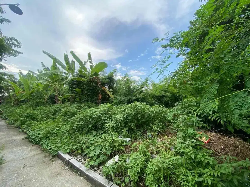 Dijual Tanah Luas Lokasi Strategis Tengah Perumahan Di Sekarkurung Gresik