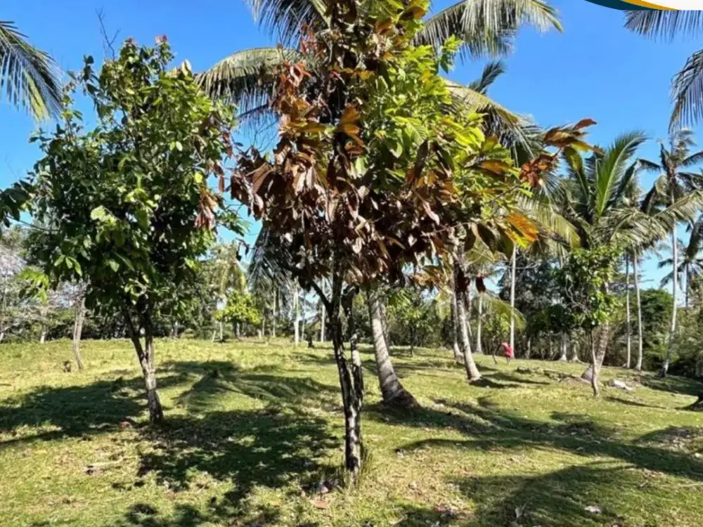 JUAL CEPAT NEGO LANGSUNG OWNER,SIAP BANGUN