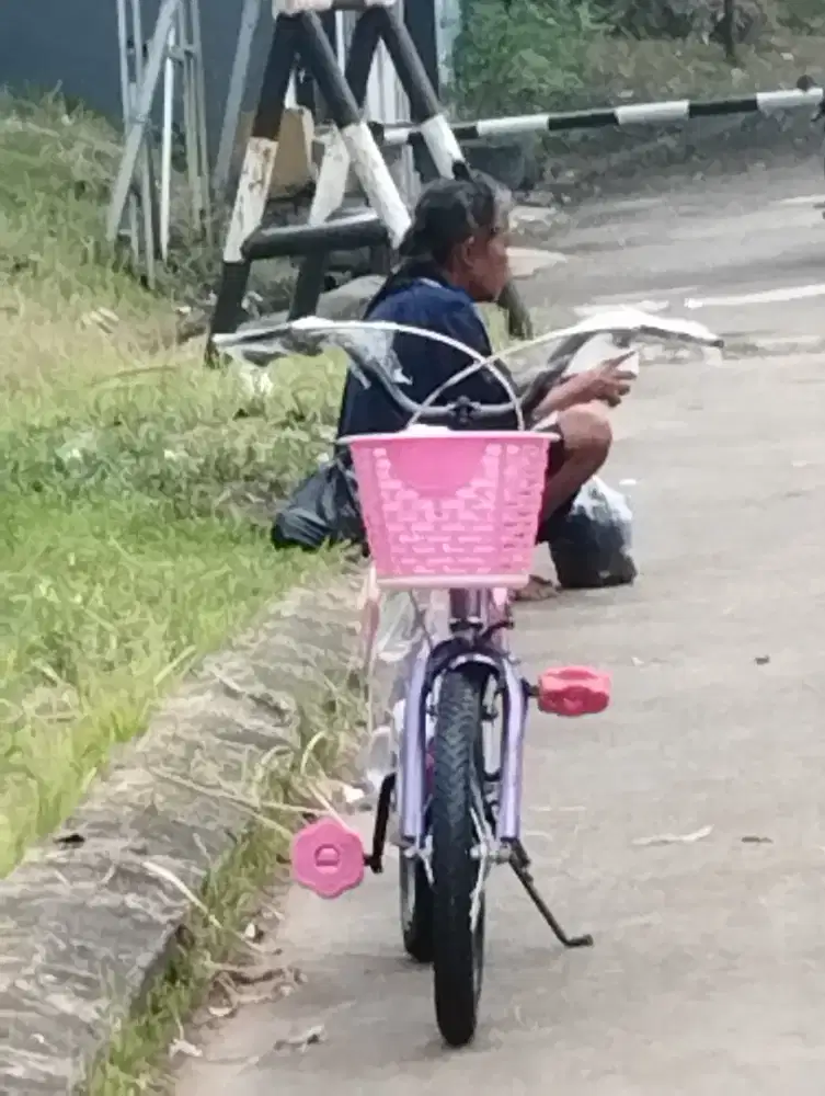 Sepeda buterfly uk 16