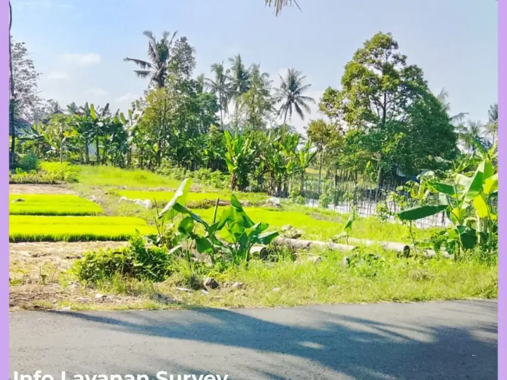 Tanah Jogja Mangku Jl Aspal 300 Meter Pasar Gentan Kaliurang