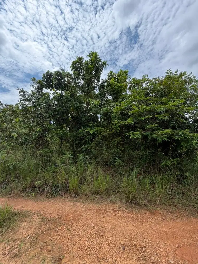 DIJUAL TANAH BANJARBARU, BELAKANG SMA 3, CEMPAKA