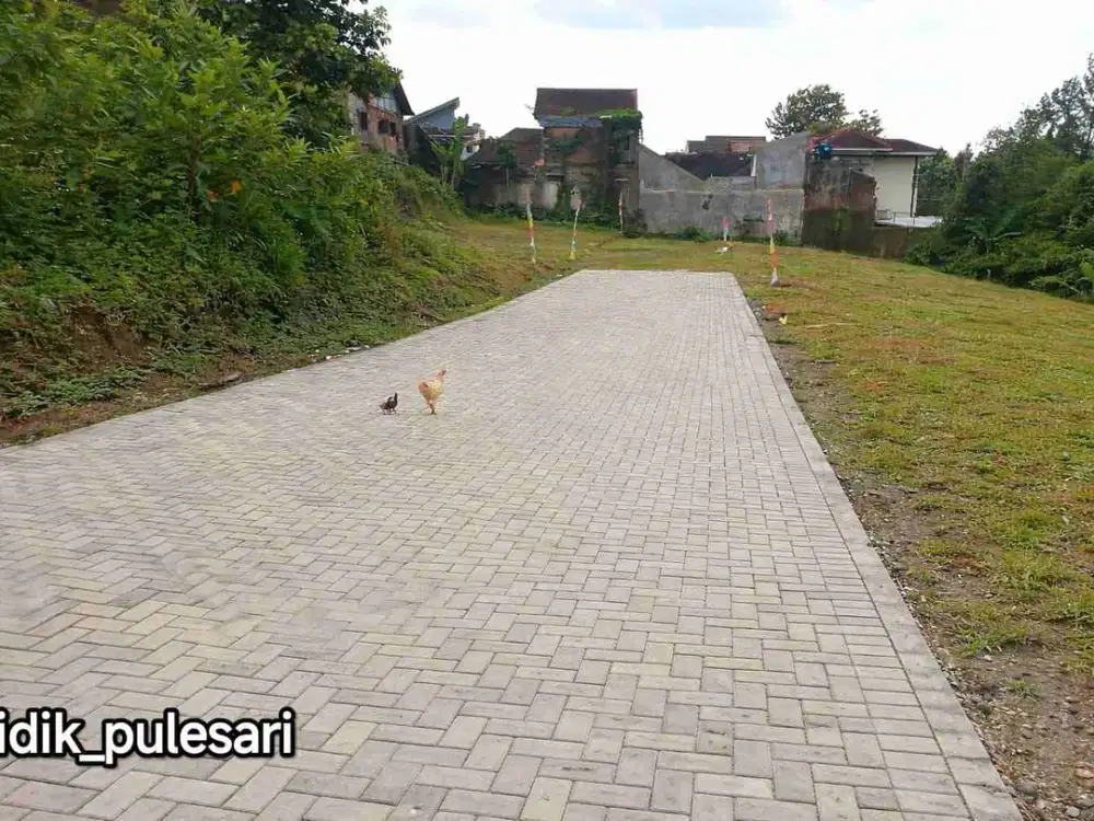 Dijual tanah Karangrejo Banyumanik