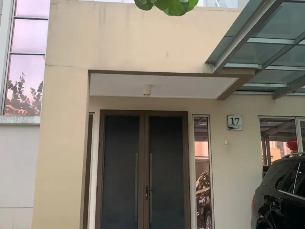 Rare Unit Golf Island Premium